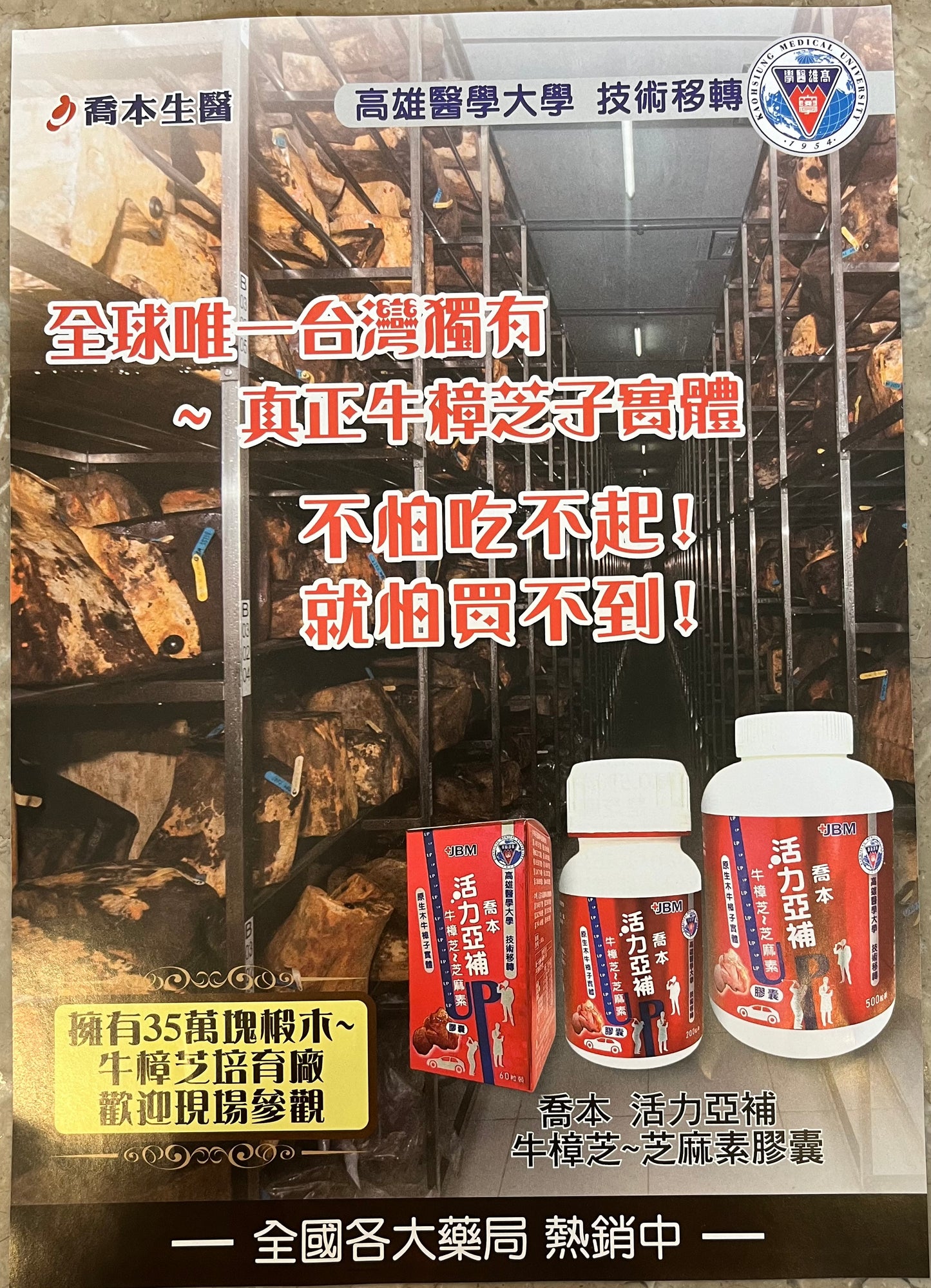 Antrodia Cinnamomea Fruiting Body Capsule