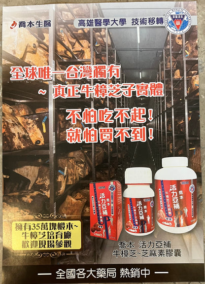 Antrodia Cinnamomea Fruiting Body Capsule