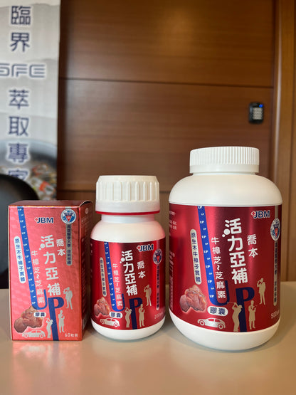 Antrodia Cinnamomea Fruiting Body Capsule